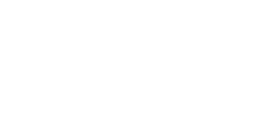 Logo Valentino